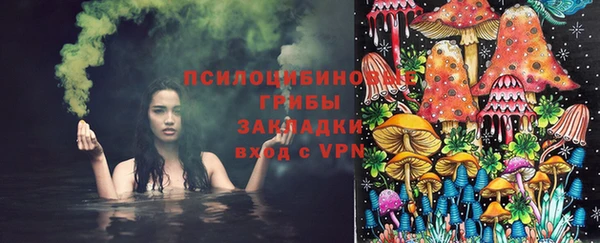 прущая мука Белокуриха